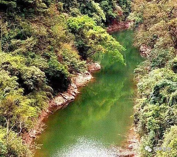 漫威蜘蛛侠